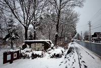 080102-thumb.jpg