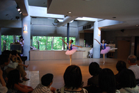 080809-11-thumb.jpg