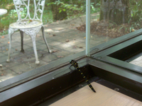 080826-thumb.jpg