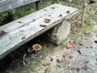080905-0-thumb.jpg