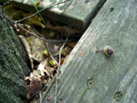 080908-1-thumb.jpg