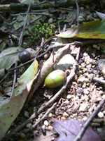 080908-2-thumb.jpg