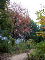 081005-thumb.jpg