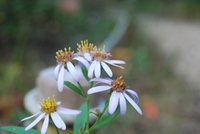 081014-2-thumb.jpg