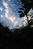 081015-thumb.jpg