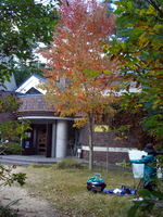 081027-thumb.jpg