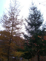 081029-thumb.jpg