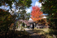 081030-thumb.jpg