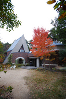 081102-thumb.jpg