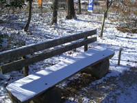081229-1.jpg