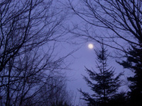 090110-thumb.jpg