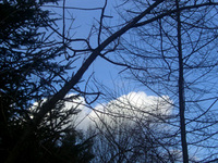 090122-thumb.jpg