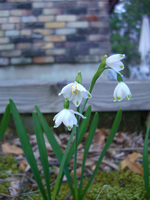 090416-thumb.jpg