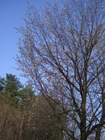 090419-2-thumb.jpg