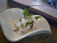 090428-2-thumb.jpg