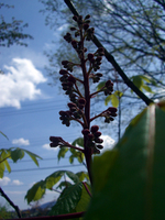 090428-thumb.jpg