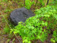 090507-3-thumb.jpg
