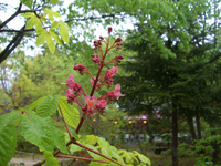 090507-thumb.jpg