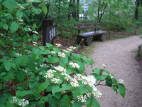 090511-thumb.jpg