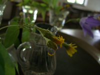 090824.JPG