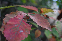 091014-thumb.jpg