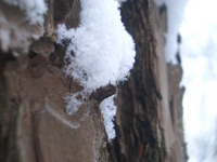 091219-2-thumb.jpg