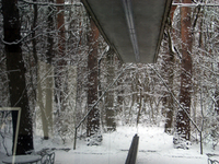 091219-thumb.jpg