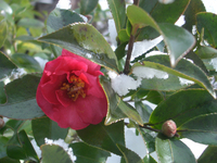 091220-2-thumb.jpg