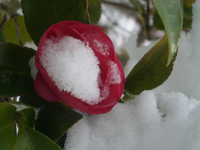 091220-thumb.jpg
