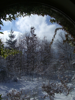 100116-thumb.jpg