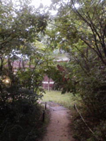 20080921173517.jpg