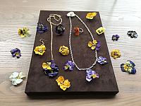 【花フェスタ応援】ビオラのワークショップ**