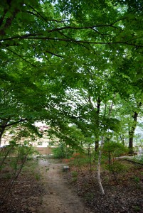 館からそばカフェに抜けた、カフェ前の小径。