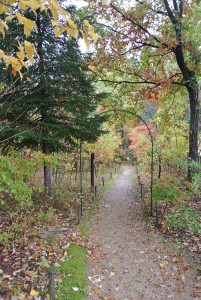 門〜館へ、小径